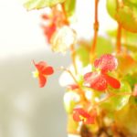 見出しサンプル　スタンダード