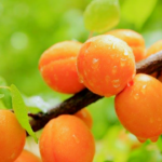 カスタマイズ見出しのサンプル　NO3　イエローオレンジ系