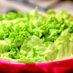 カスタマイズ見出しのサンプル　NO3　グリーン系